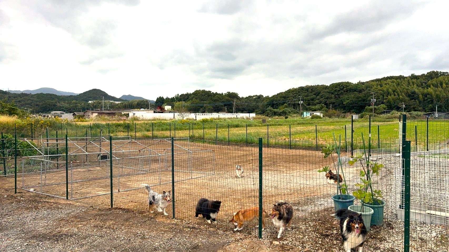 ワンちゃんがのびのび走り回れる防護柵｜大分市